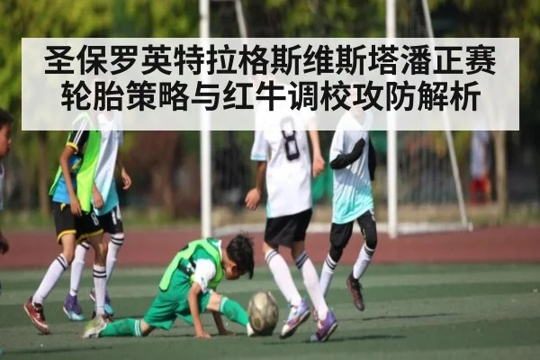 圣保罗英特拉格斯维斯塔潘正赛轮胎策略与红牛调校攻防解析
