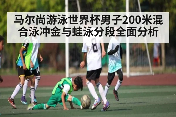 马尔尚游泳世界杯男子200米混合泳冲金与蛙泳分段全面分析